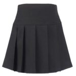 Pleated Skirt